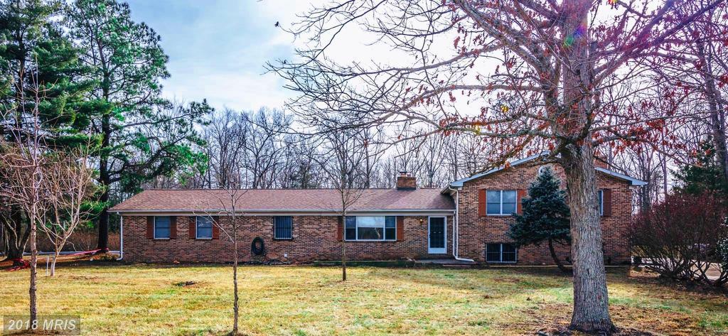 9505 Bland Street - Photo 1