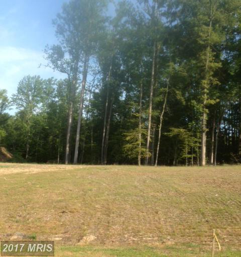14625 Gallant Lane - Photo 1