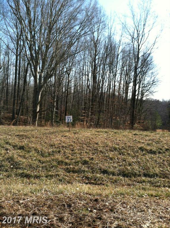 14388 Frontier Trails Court - Photo 1