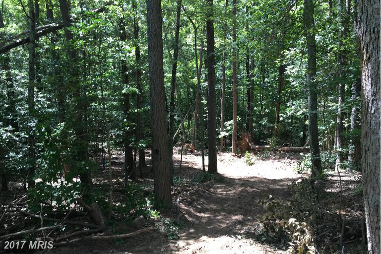 9880 Tall Pines Place - Photo 1