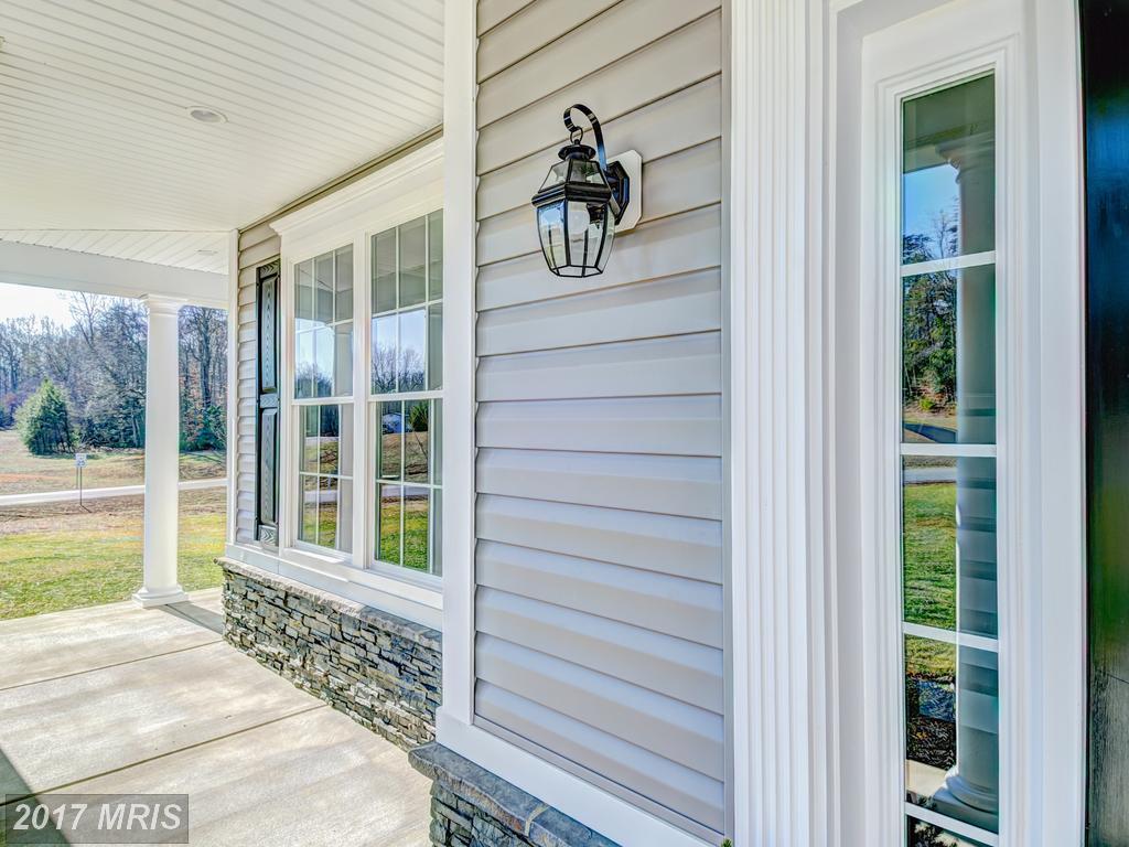 15805 Chalice Vine Court - Photo 1