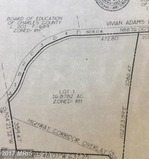 12105 Vivian Adams Drive - Photo 1