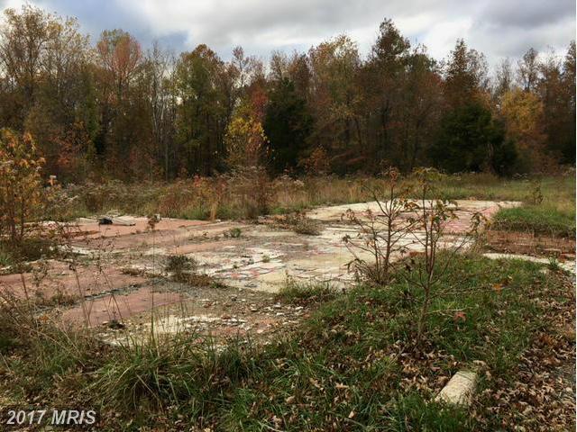 6365 Hawthorne Road - Photo 1