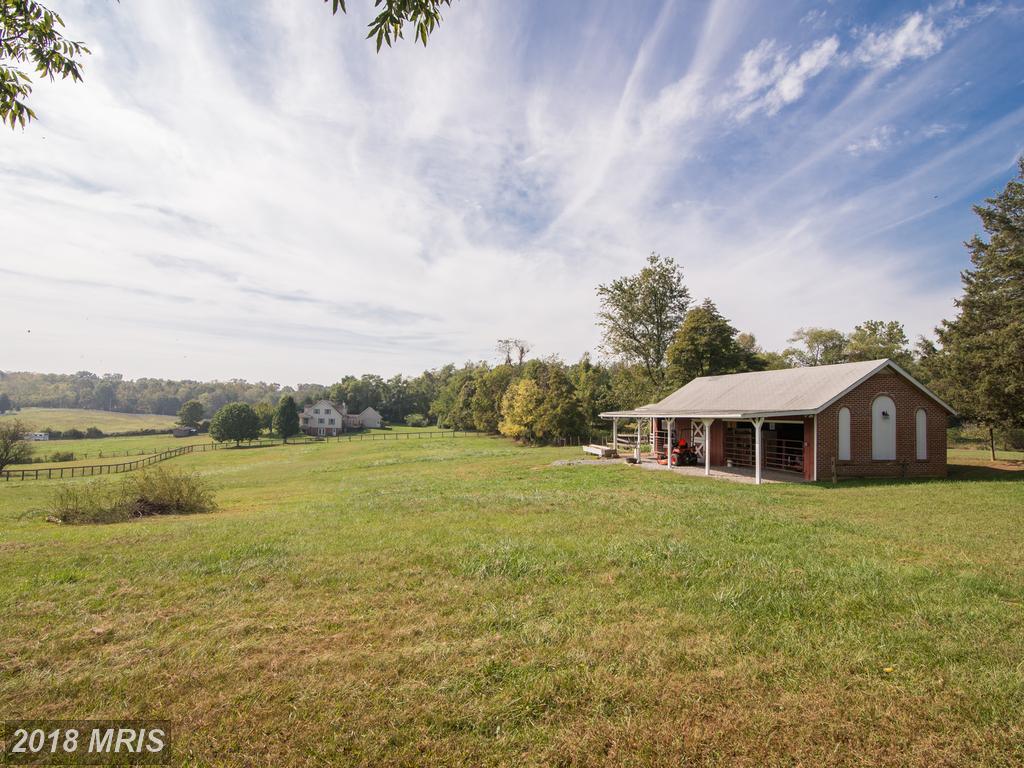 192 Chestnut Lane - Photo 1
