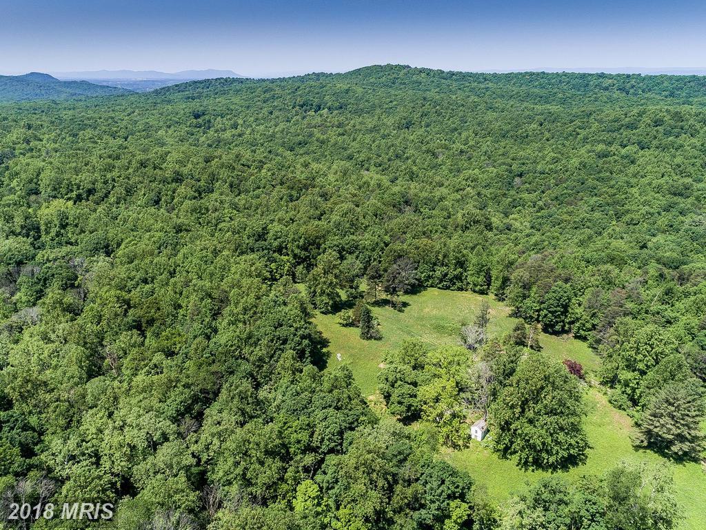 2683 Mount Carmel - Photo 1
