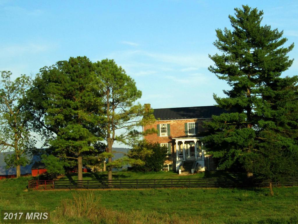 3838 Shepherds Mill Road - Photo 1