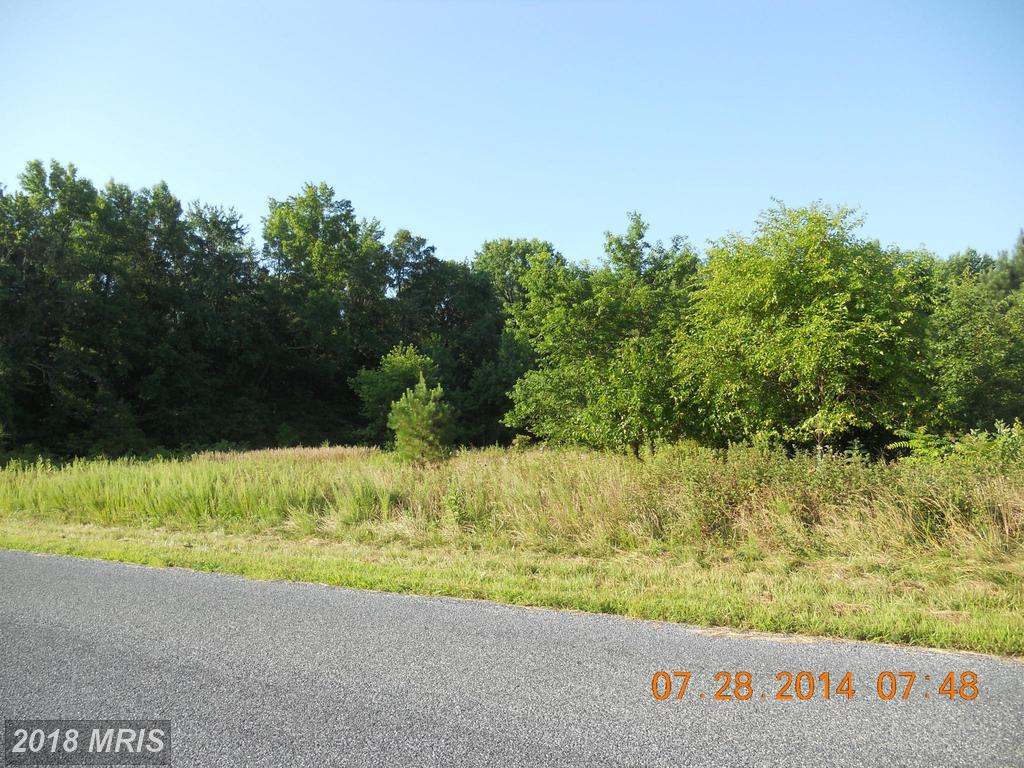 Houston Branch Road - Photo 1
