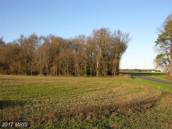 LOT 8 Brunkhorst Road - Photo 1