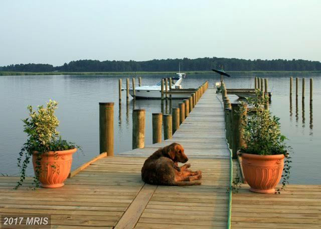 3441 Frazier Neck Rd. - Photo 1