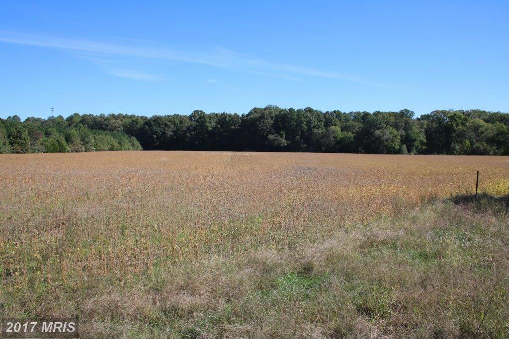 Wilder Way - Photo 1