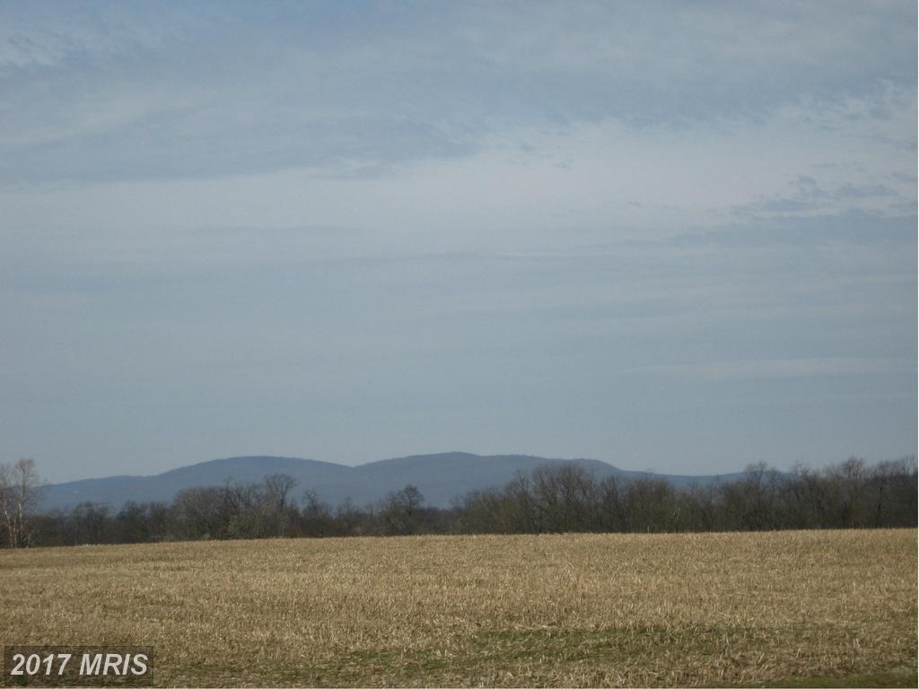 3296 Bullfrog Road - Photo 1