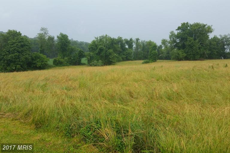 Barley Cutter Lot 2 Drive - Photo 1