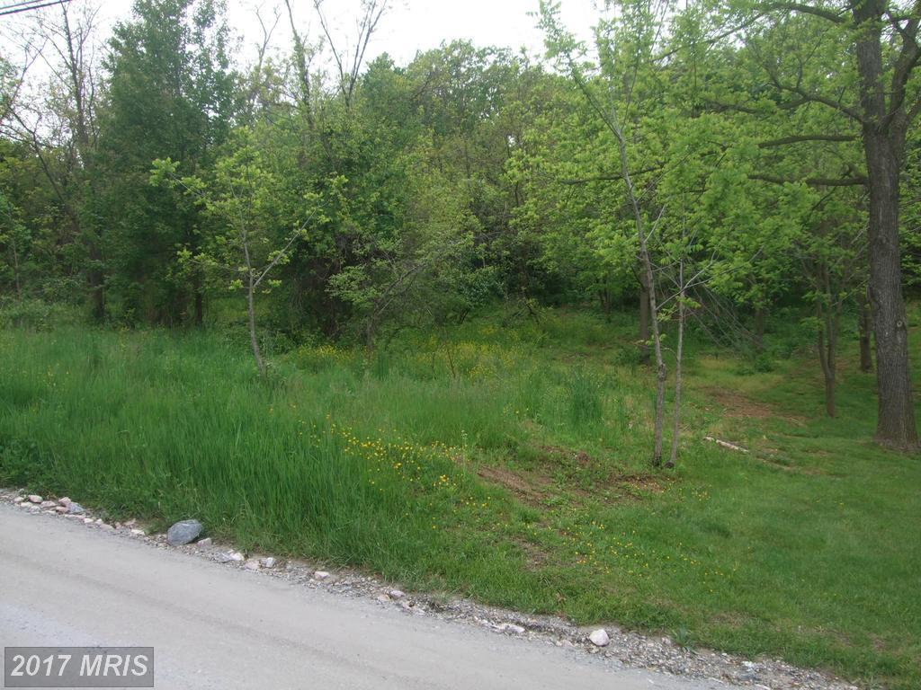 Pinch Valley Road - Photo 1