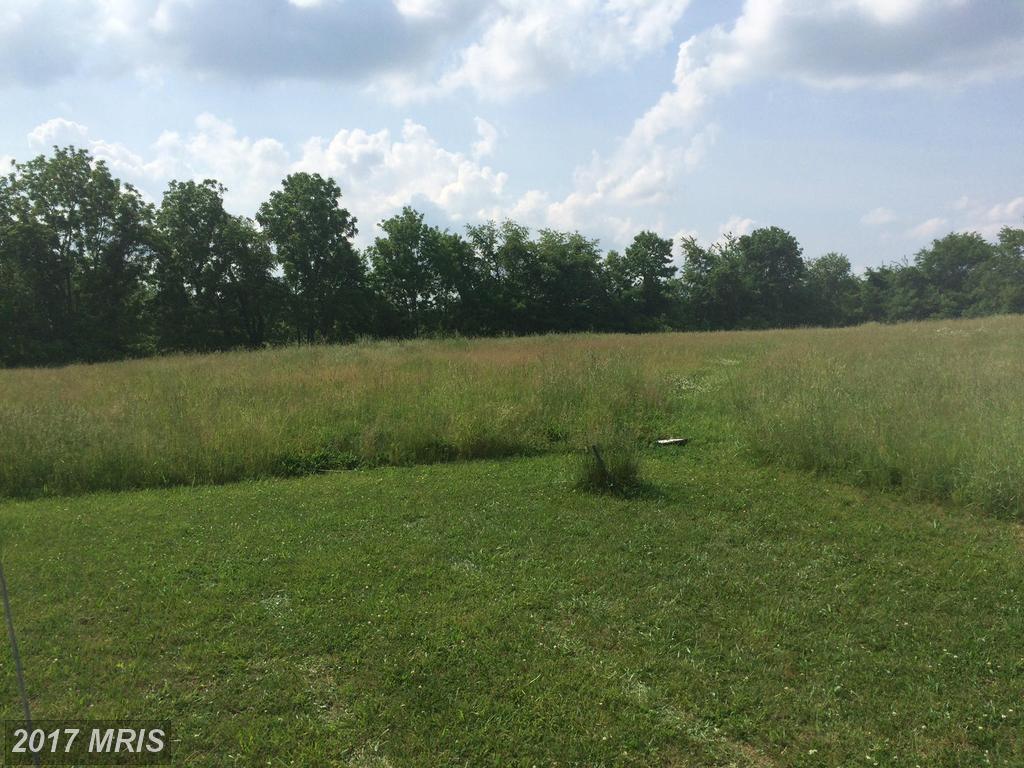2 Crouse Mill Road - Photo 1