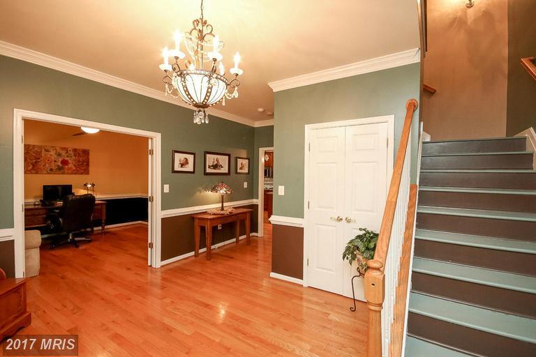 4382 Deer Lane - Photo 1