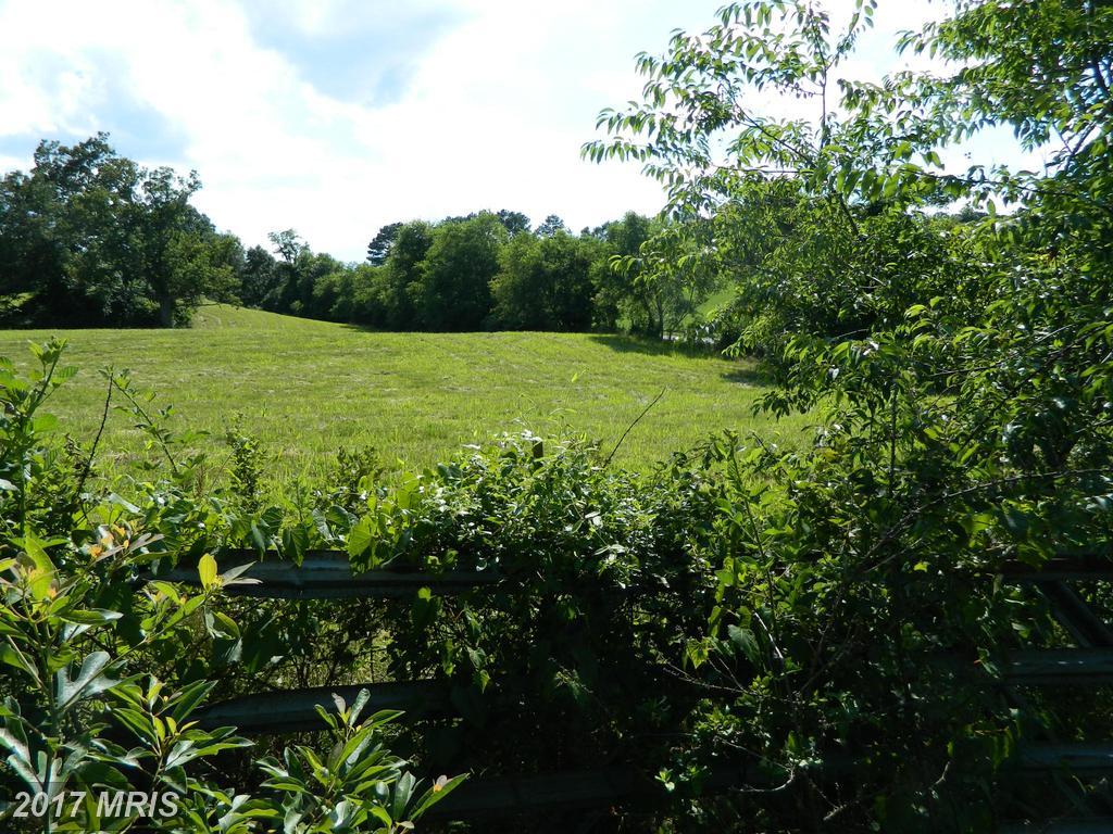 15491 Off Oakland Road - Photo 1
