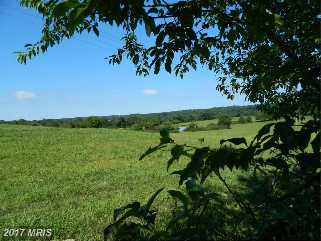 Lot 2 Oakland Road - Photo 1