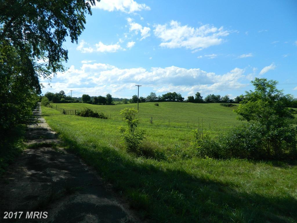 Lot 10 Oakland Road - Photo 1
