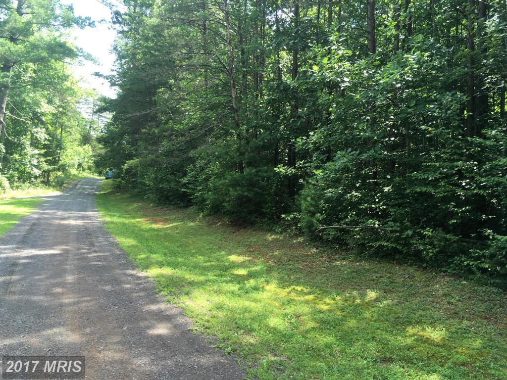 Cedar Lane - Photo 1