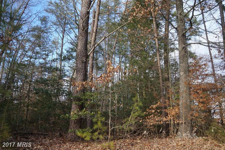 Golansville Road - Photo 1