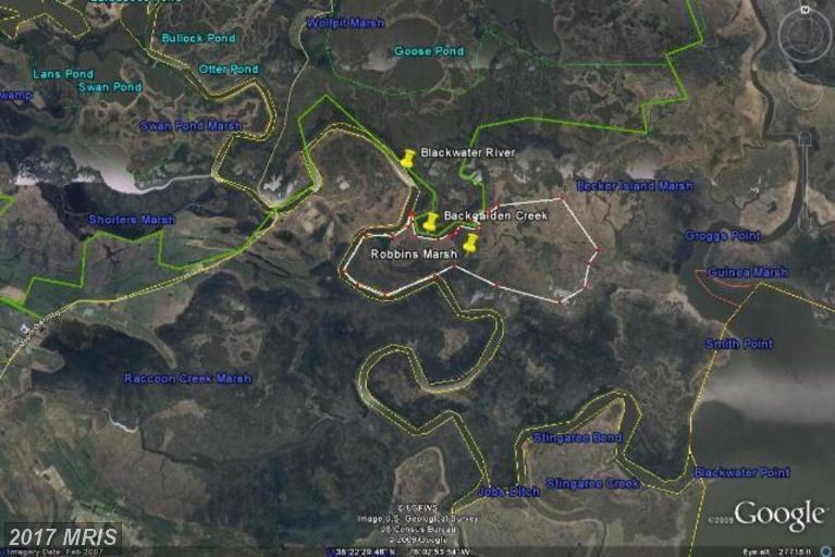360 ACRES BLACKWATER RIVER - Photo 1