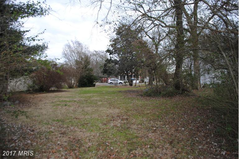 1303 Race - Rear Street - Photo 1