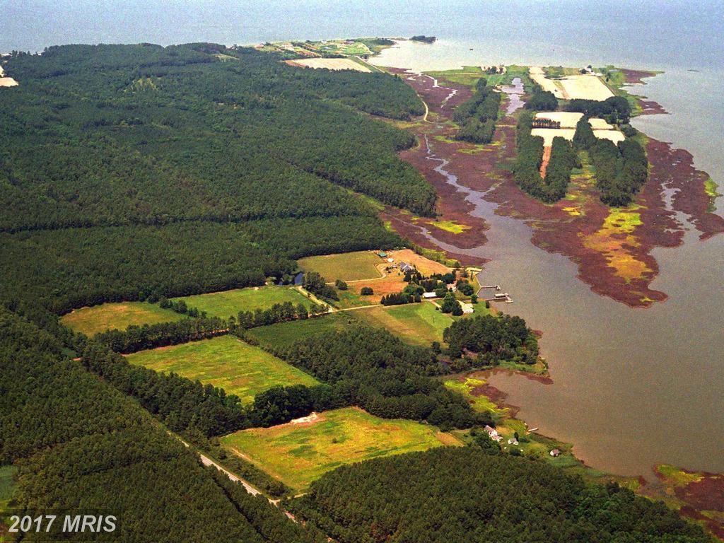 4467 Pine Top Road - Photo 1