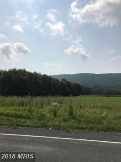 Amberson Road - Photo 1