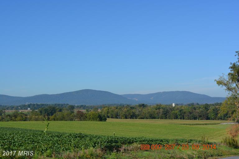 Long Road - Photo 1