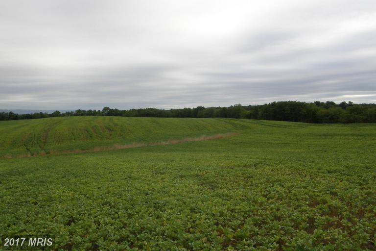 Long Road - Photo 1