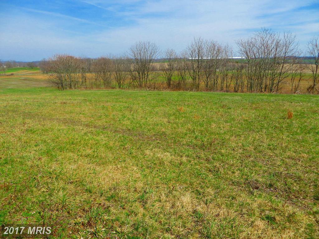 LOT #16 Rumler Road - Photo 1