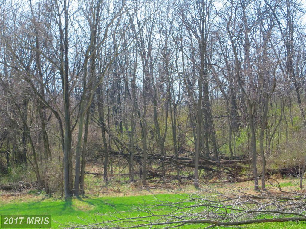 LOT #18 Rumler Road - Photo 1