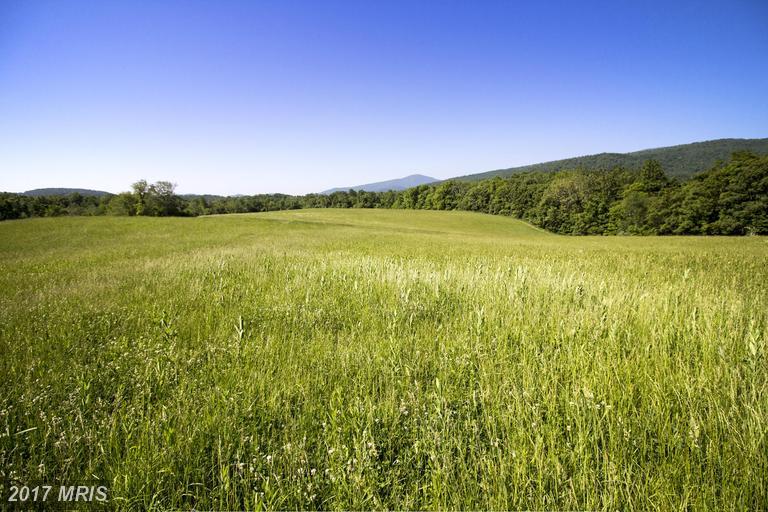 14282 Hume Road - Photo 1