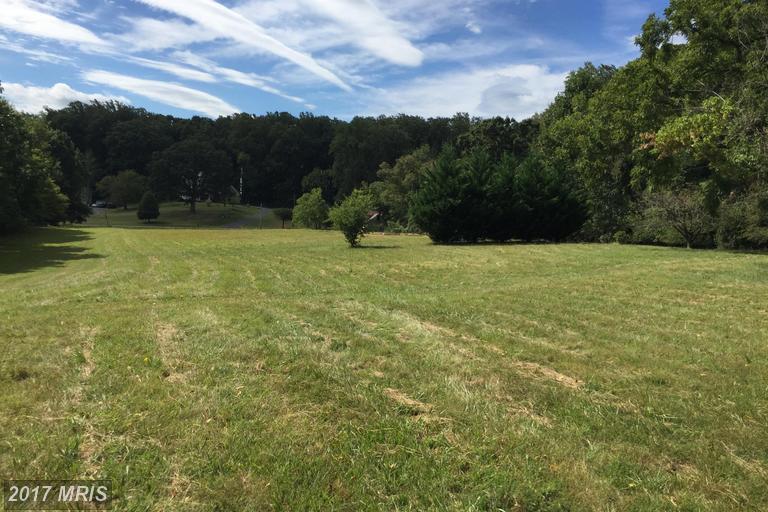 8598 James Madison Highway - Photo 1
