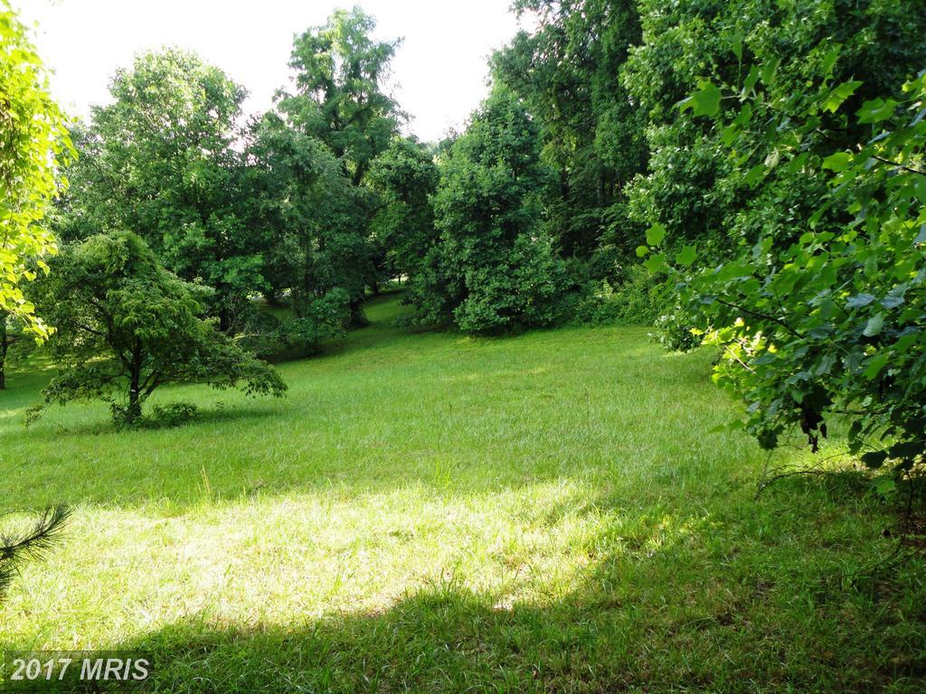 0 COBBLER MOUNTAIN Road - Photo 1