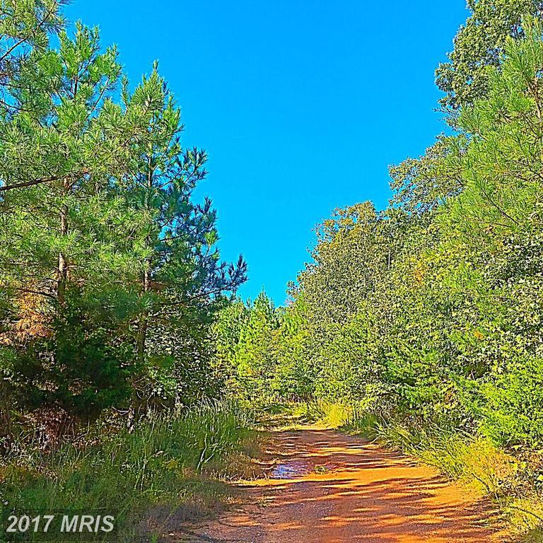 Marsh Road - Photo 1