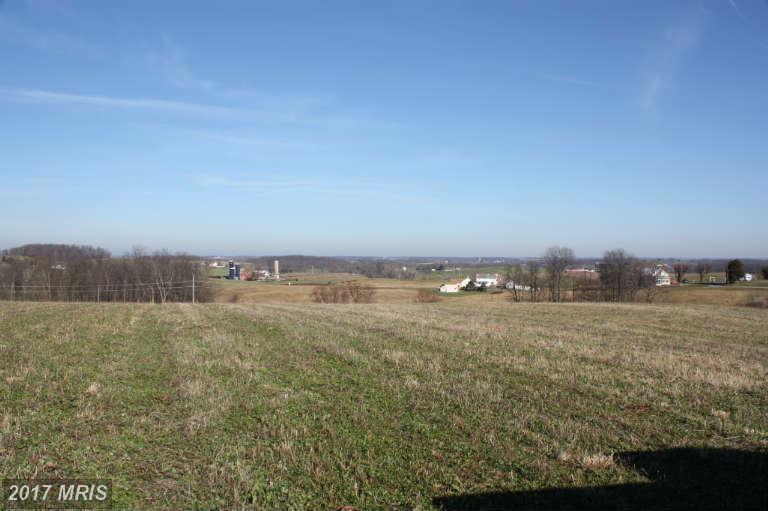 12029 Lookingbill Road - Photo 1
