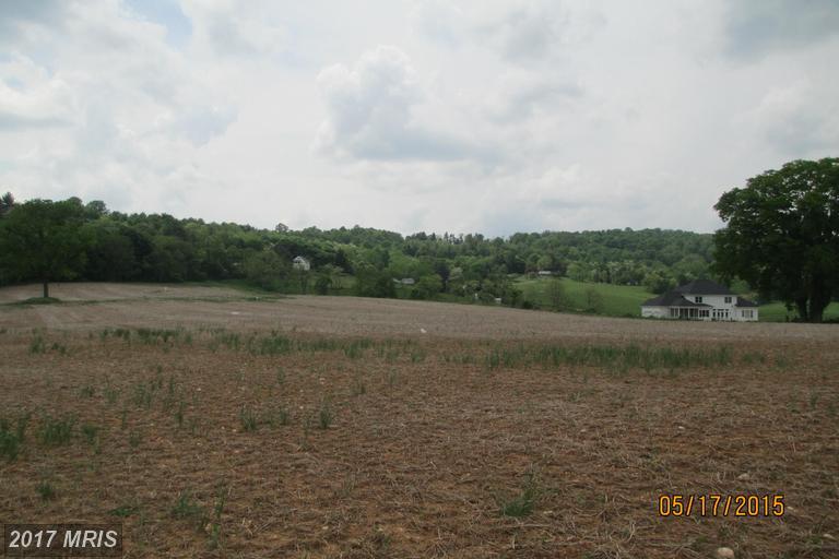 10534 Baltimore National Pike - Photo 1