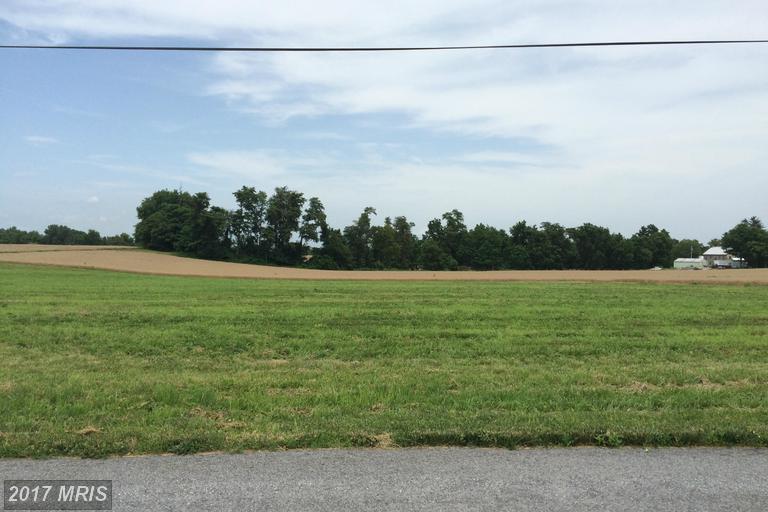 13226 Molasses Road - Photo 1