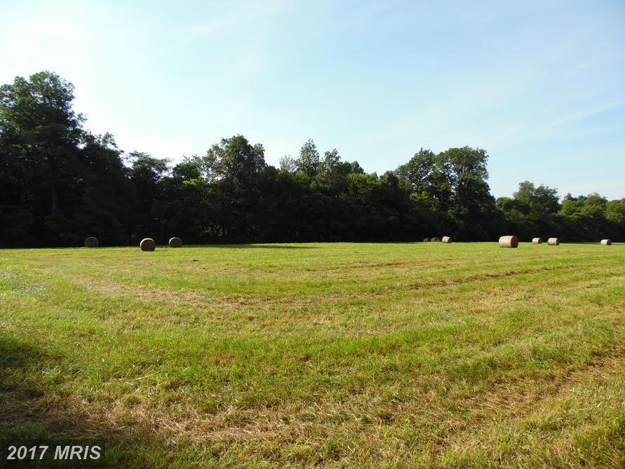 14231 Ridenour Road - Photo 1