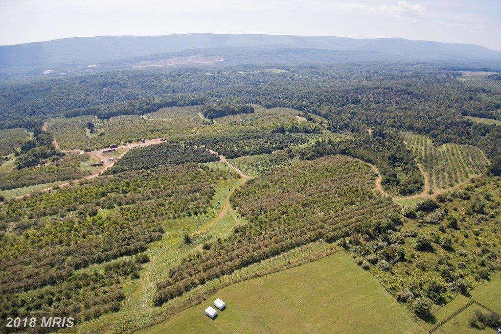 806 Hollow And Parrishville Road - Photo 1