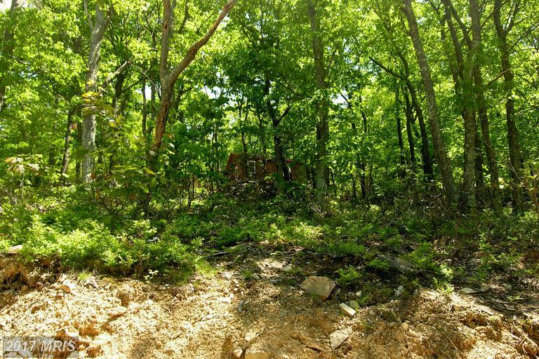 0 Bobcat Trail - Photo 1