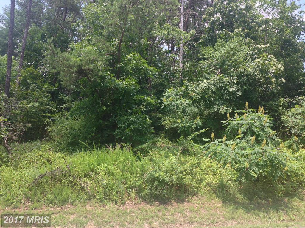 410 Lakeview Drive - Photo 1