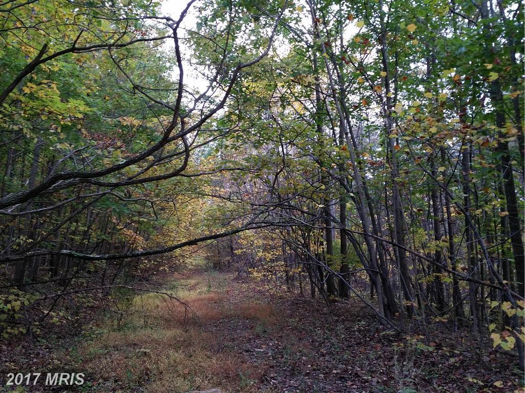 0 Witch Hazel Trail - Photo 1