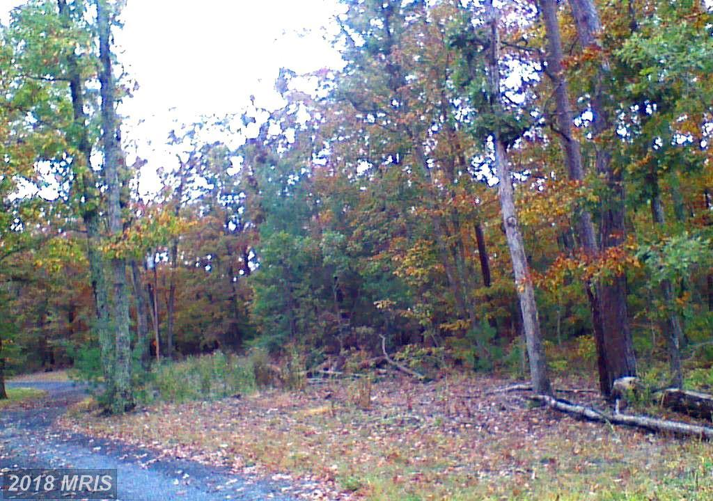 LOT 89 Furnace Road - Photo 1
