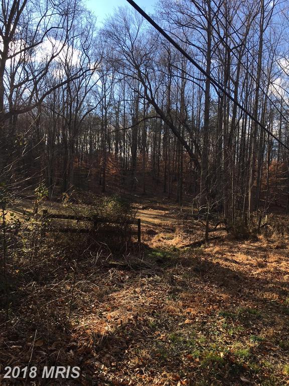 10223 Beach Mill Road - Photo 1