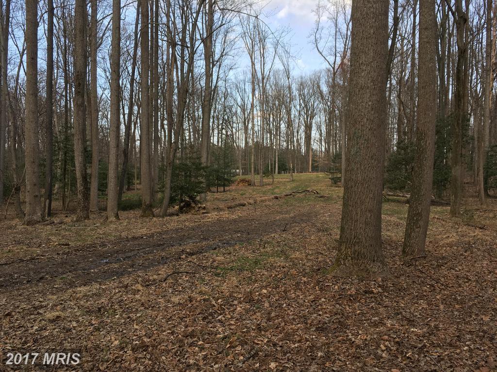 501 Haven Lane - Photo 1