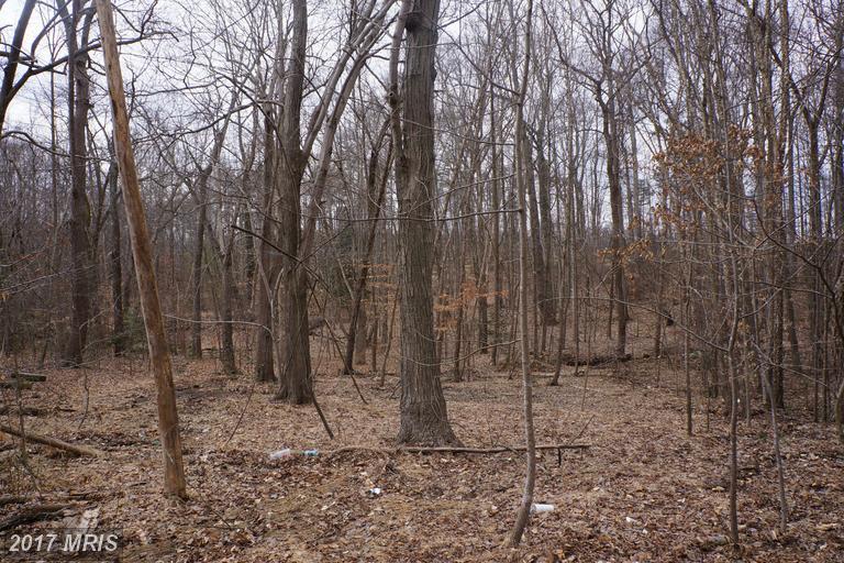 8850 Hooes Road - Photo 1