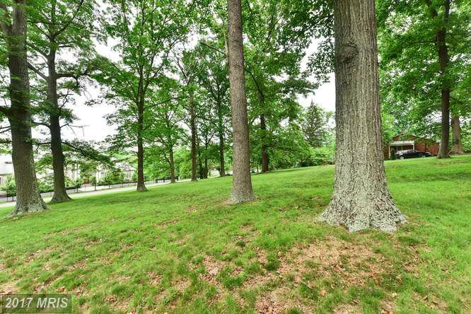 1281 Serenity Woods Lane - Photo 1