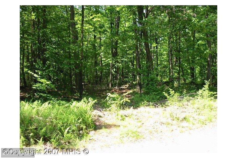 7 Hemlock Drive - Photo 1